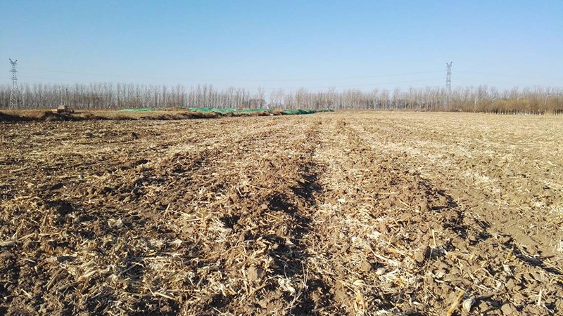 我院乐成中标武清开发区四期工业项目土壤情形视察评估项目